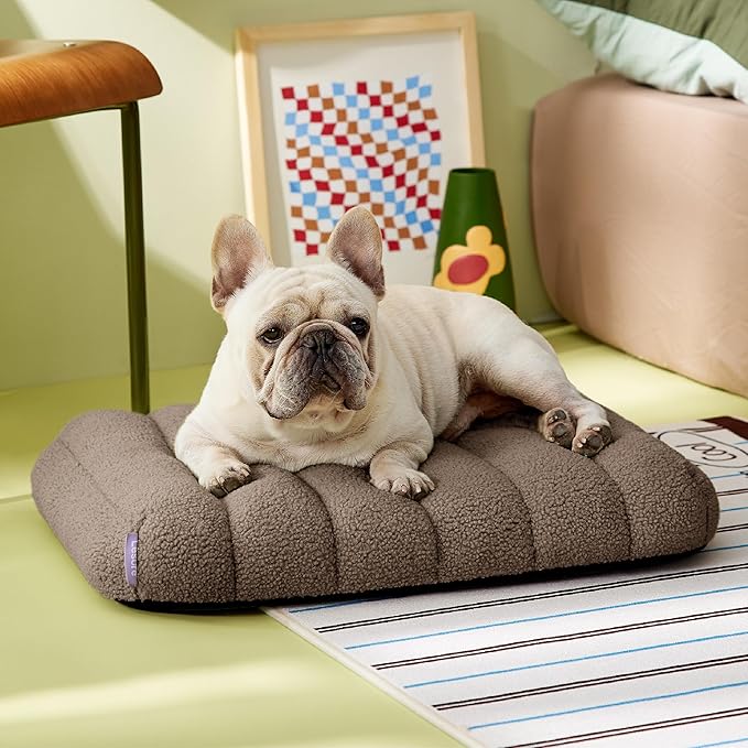 Lesure Cute Orthopedic Dog Bed for Small Dogs, Waterproof Chic Flat Pet Beds with Removable Washable Cover, Fuzzy Thick Egg Crate Foam Pet Mat for Indoor Use (24" x 18", Brown)