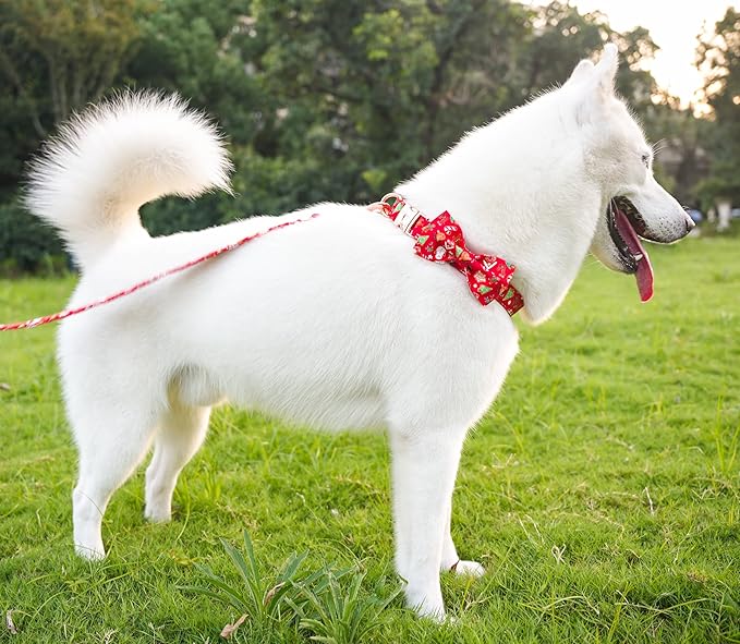 Tunkoo Christmas Dog Collar with Elegant Bow Tie Soft Comfy Cotton Adjustable Collar, Premium Metal Buckle for Puppy and Cat Small Medium Large (Christmas C, L)
