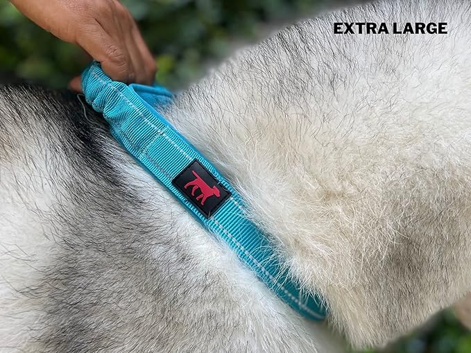 Tuff Pupper Heavy Duty Dog Collar with Handle | Ballistic Nylon Heavy Duty Collar | Padded Reflective Dog Collar with Adjustable Stainless Steel Hardware | Convenient Sizing for All Breeds