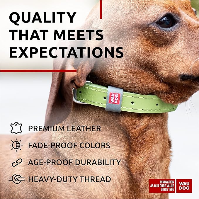 WAUDOG Long Lasting Leather Dog Collar for Large Dogs, Medium & Small Dogs - Adjustable Classic Puppy Collars for Large Breed Dogs - Boy & Girl Dog Collars with Durable Buckle, D-Ring & QR Dog Tag