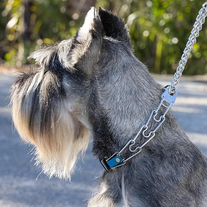 Herm Sprenger Chrome Plated Steel Dog Collar with Quick Release ClicLock Buckle and Biothane Insert Training Collar for Dogs Made in Germany (Cerulean Blue, 22in x 3.0mm(Neck Size up to 18-19in))