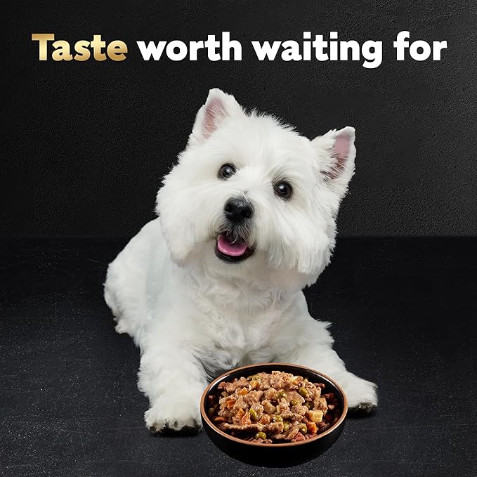 Cesar Home Delights Adult Wet Dog Food, Slow Cooked Chicken & Vegetables Dinner in Sauce, 3.5 oz. (24 Count, Pack of 1)