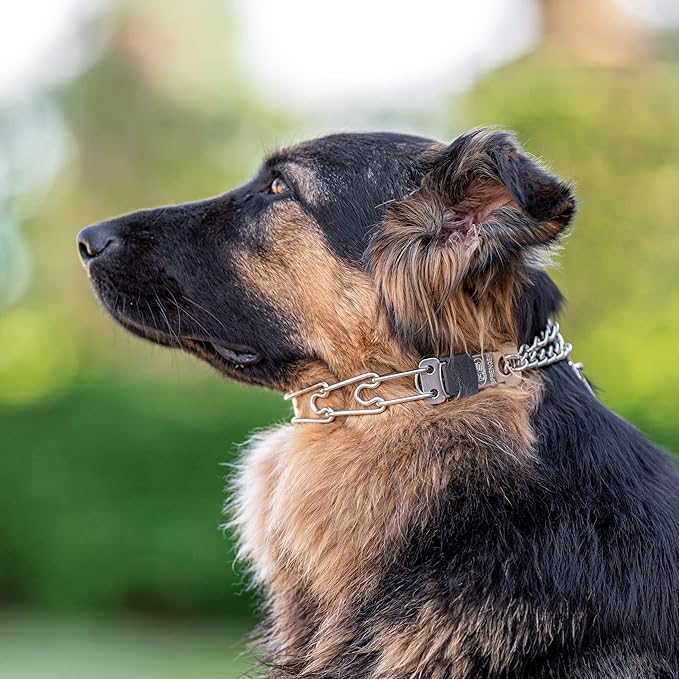 Herm Sprenger Stainless Steel Dog Collar with Quick Release ClicLock Buckle for Small Medium Large Dogs Training Collar for Dogs Made in Germany (23in x 3.2mm)