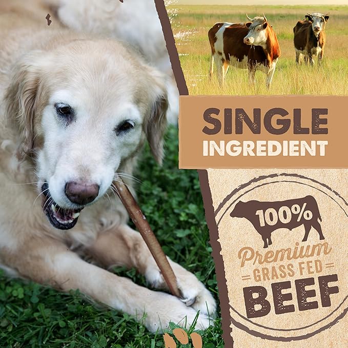 Mighty Paw Naturals 12" Bully Sticks for Dogs - Grass Fed Beef Chews. Dog Bully Sticks for Large Dogs, Medium and Small Breeds. Lower Odor Treats for Small Pets. Single Ingredient