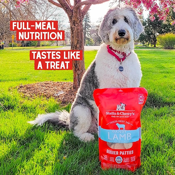 Stella & Chewy's Freeze-Dried Raw Dinner Patties - Dandy Lamb Recipe - High Protein Grain-Free Puppy & Dog Food - Perfect For Picky Eaters - 5.5 oz