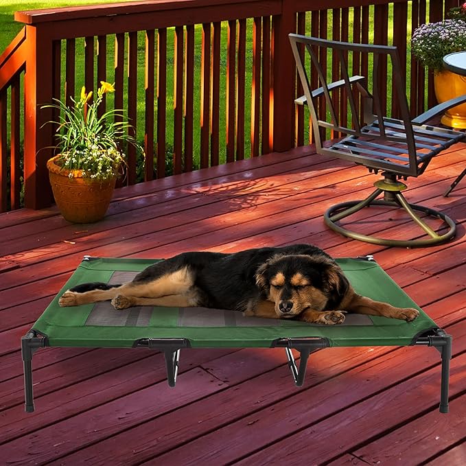 Elevated Dog Bed - 48x35.5-Inch Portable Pet Bed with Non-Slip Feet - Indoor/Outdoor Dog Bed or Puppy Cot for Pets up to 110lbs by PETMAKER (Green)
