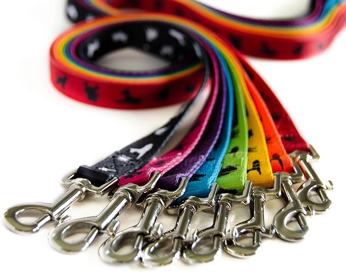 EcoBark Dog Leash - Soft & Reflective Comfort Training Leashes with Padded Handle - Strong Durable Heavy Duty - Training and Pulling for Small, Medium or Large Dogs (Red)