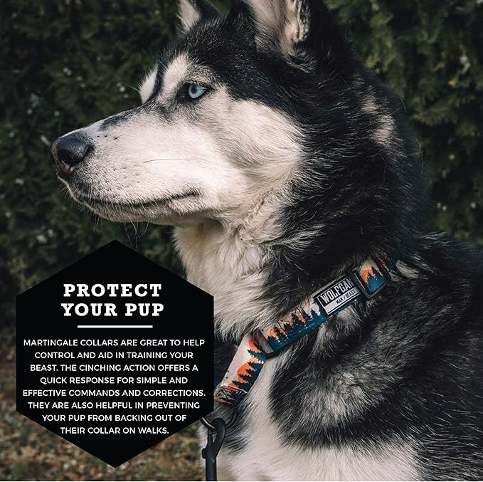 Wolfgang Heavy Duty Martingale Dog Collar with Quick Release Nylon Buckle for Walking & Training, Overland Print, Extra Large