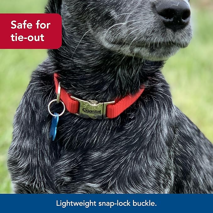 CCoastal Pet Adjustable Dog Collar with Metal Buckle - Comfortable Fade-Resistant Dog Collar with Snap Lock - Perfect for Walking & Tie Outs - Red - 5/8" x 10"-14"