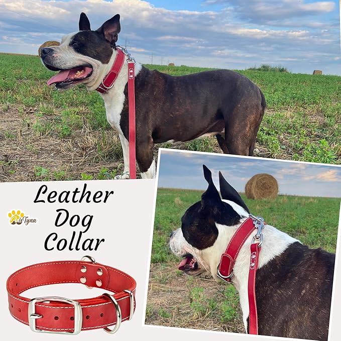 ADITYNA Heavy Duty Leather Dog Collar - Soft and Strong Red Dog Collar for Medium Breeds (Medium: Fit 13" - 20" Neck, Red)