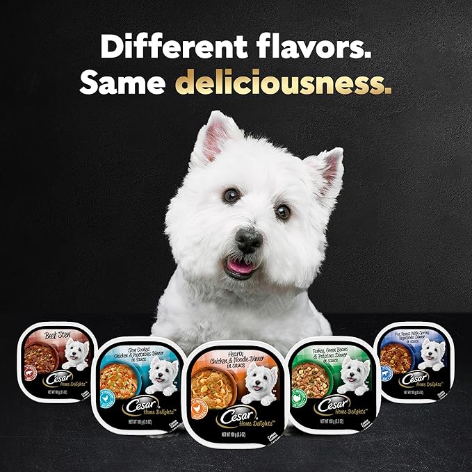 Cesar Home Delights Adult Wet Dog Food, Slow Cooked Chicken & Vegetables Dinner in Sauce, 3.5 oz. (24 Count, Pack of 1)