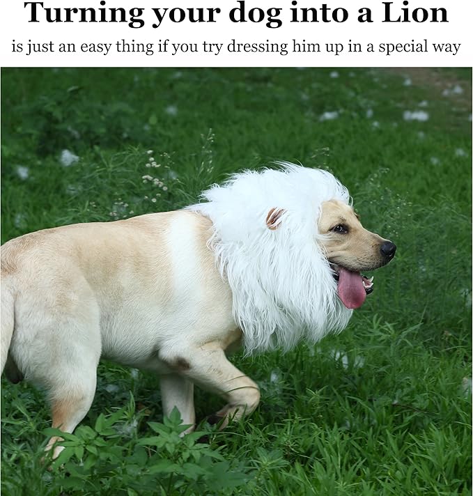 Onmygogo Lion Mane Wig for Dogs with Ears, Funny Pet Costumes for Halloween Christmas (Size L, White)