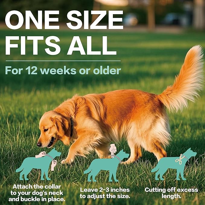 Flea Collar for Dogs, Flea and Tick Prevention for Dogs Collar, Dog Flea and Tick Treatment, 2 Collars, 12 Months Prevention, One Size Fits All