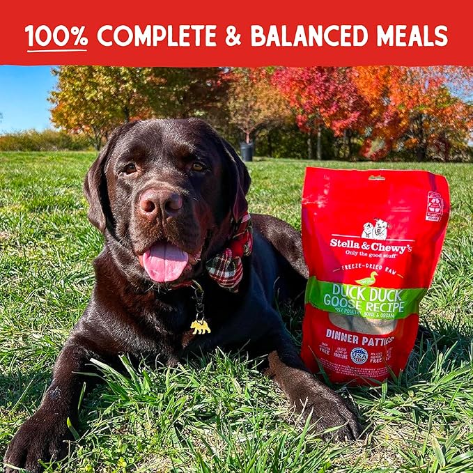 Stella & Chewy's Freeze-Dried Raw Dinner Patties - Duck Duck Goose Recipe - High Protein Grain-Free Puppy & Dog Food - Perfect For Picky Eaters - 5.5 oz