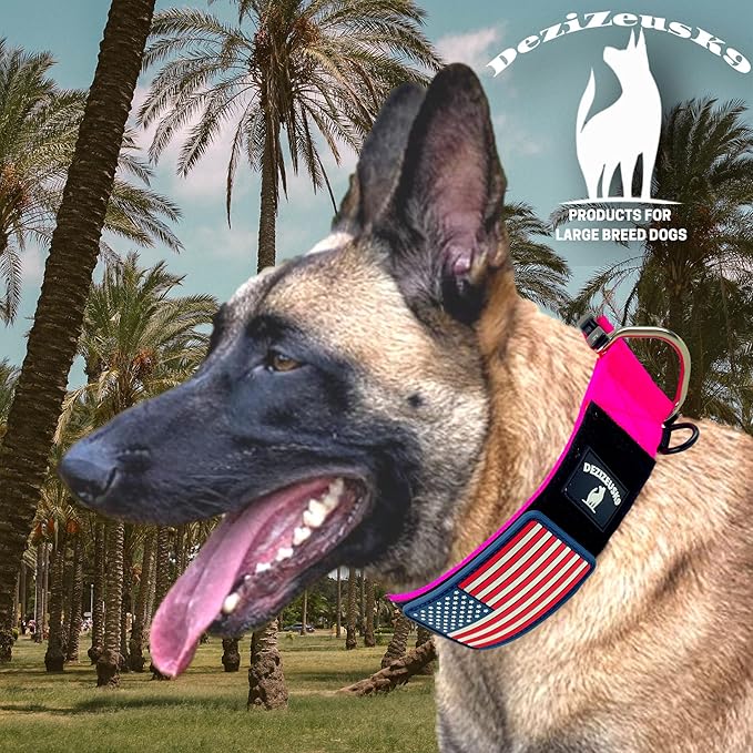 Tactical Dog Collar 2 Inch Wide Thick Heavy Duty Military Style with Metal Buckle, Adjustable for Medium - Large Breeds, Durable K9 Training Gear with Patch Area, USA Flag Patch, Strong and Secure Fit