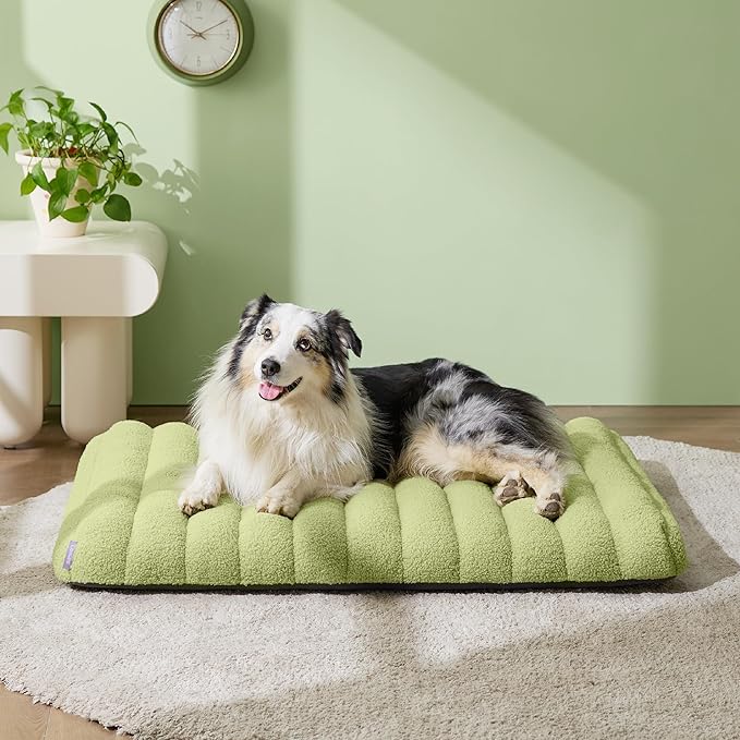 Lesure Cute Orthopedic Dog Bed Large Sized Dog, Waterproof Chic Flat Pet Beds with Removable Washable Cover, Fuzzy Thick Egg Crate Foam Pet Mat for Indoor Use (36" x 27", Green)