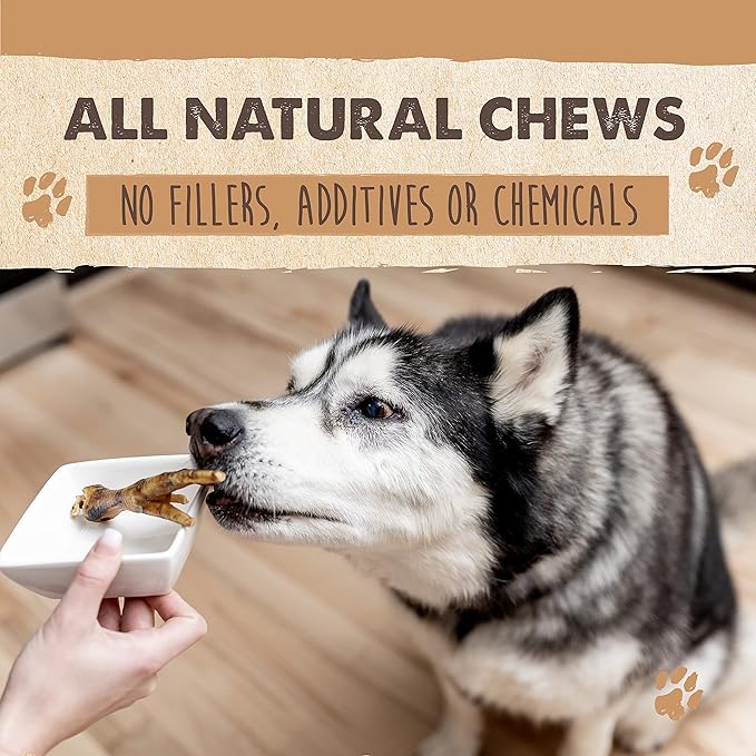 Mighty Paw Naturals Chicken Feet Dog Treats (30 Pack) | 100% Natural Dehydrated Chicken Feet for Dogs. Dried Treat for Pets. Single Ingredient Chews