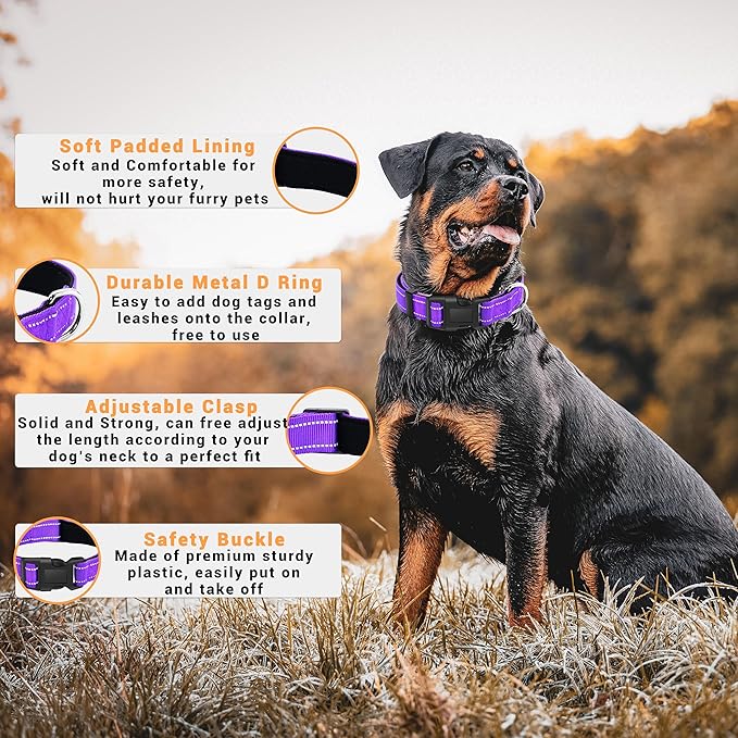 2 Pack Reflective Dog Collar with Safety Locking Buckle, Adjustable Soft Breathable Comfortable Nylon Pet Collar for Small, Medium and Large Dogs, Purple, XL