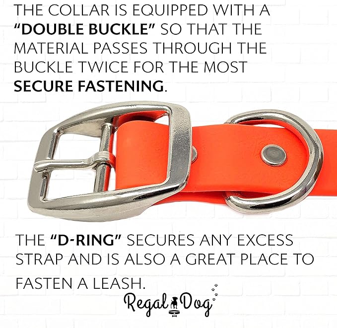 Regal Dog Products Small Orange Waterproof Dog Collar and Leash Set | Heavy Duty Double Buckle & D Ring - 5'ft Leash | Adjustable Biothane Dog Collar | Chew Resistant Waterproof Collar for Dogs