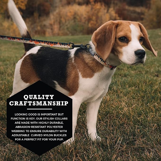 Wolfgang Heavy Duty, Adjustable Dog Collar with Quick Release Nylon Buckle for Walking & Training, Overland Print, Small