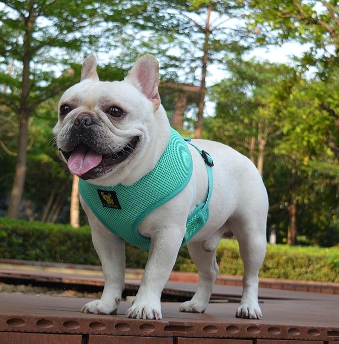 EcoBark Dog Harness - Eco-Friendly Max Comfort Harnesses - Luxurious Soft Mesh Halter - Over The Head Harness Vest- No Pull and No Choke for Puppy, Toy Breeds & Small Dogs (Medium, Mint Turquoise)