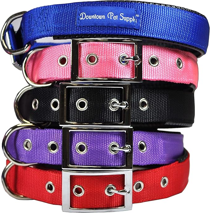 Downtown Pet Supply Deluxe Dog Collar - Padded Adjustable Dog Collar with Metal Buckle & D-Ring - Machine Washable & Water Resistant Thick Dog Collar - Purple - XL - Extra Large Dog Collar