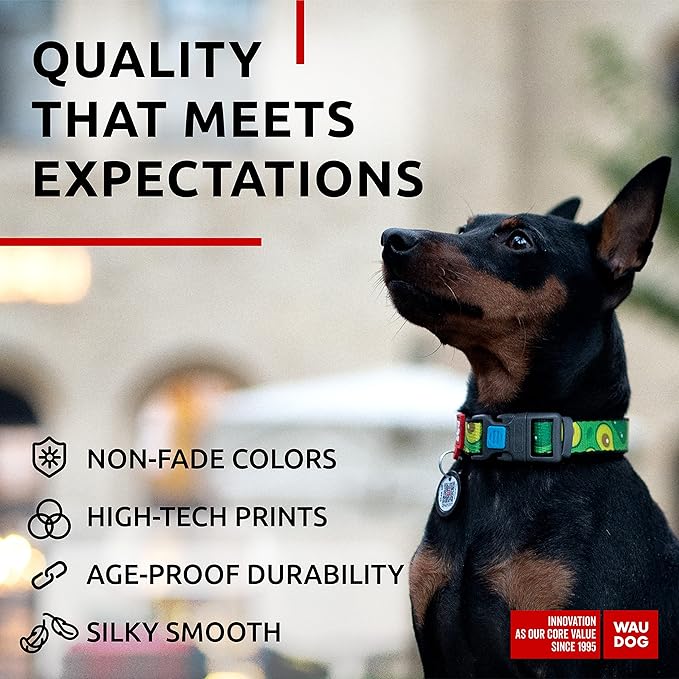 WAUDOG Nylon Dog Collar - Adjustable Dog Collar for Large Dogs, Small & Medium Dogs - Breakaway Puppy Collars for Large Breed Dogs - Boy & Girl Dog Collars with Durable Plastic Buckle and QR Dog Tag