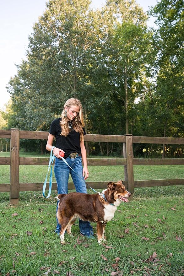 Country Brook Petz - American-Made Dog Collar for Large, Medium, and Small Dogs and Puppies - Deluxe Heavy Duty Nylon in 33 Dazzling Colors (2XS, 3/8 Inch Wide, Ice Blue)