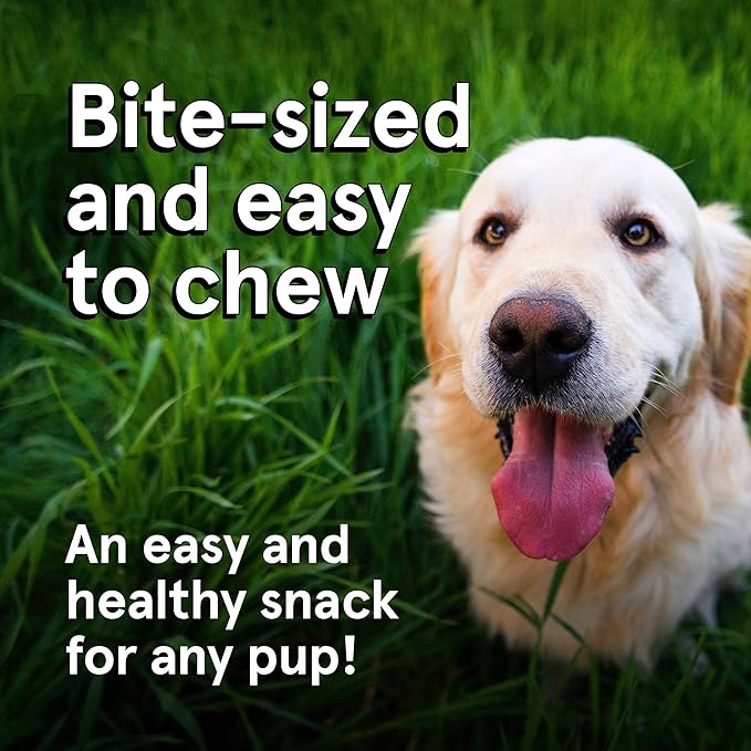 Real Meat Dog Treats - 26oz Bag of Bite-Sized Air-Dried Beef Jerky for Dogs - Grain-Free Jerky Treats Made up of 95% Free-Range, Grass Fed Beef - All-Natural High Protein Treats