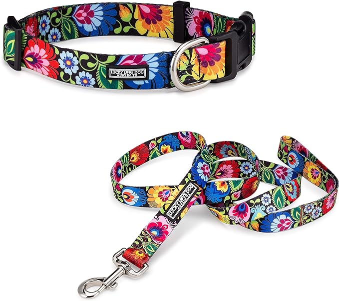 Lucky Love Dog - Easy Click Buckle Dog Collar with Leash Set Combo, Durable & Comfortable for Male & Female Dogs, Pet Collar for Small to Large Dogs, Secure Fit - Blackbird Combo, Large