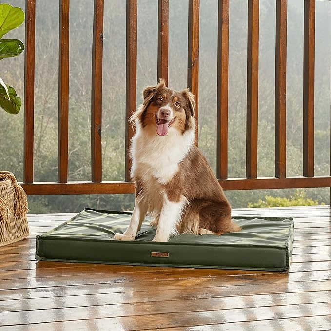 Lesure Outdoor Waterproof Dog Bed Medium Size Dogs, Orthopedic Egg Crate Foam Pet Bed with Oxford Fabric Surface and Removable Washable Cover, Pet Mat 30''x20'', Green