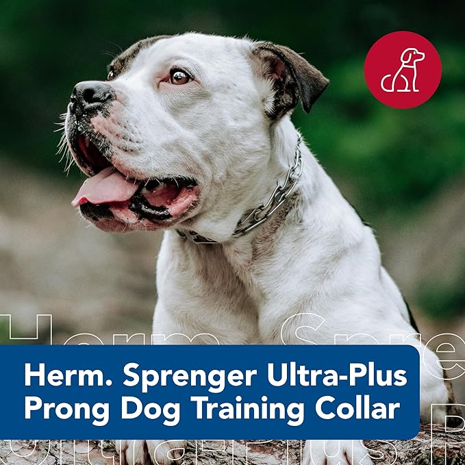 Herm Sprenger Ultra-Plus Prong Dog Training Collar, Chrome, 3.25 mm x 20" Neck Size; 22" Chain Length