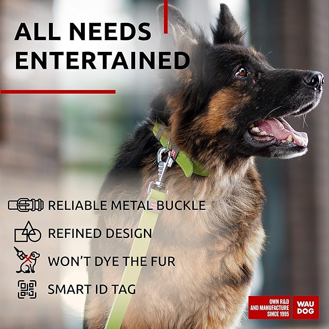 WAUDOG Long Lasting Leather Dog Collar for Large Dogs, Medium & Small Dogs - Adjustable Classic Puppy Collars for Large Breed Dogs - Boy & Girl Dog Collars with Durable Buckle, D-Ring & QR Dog Tag