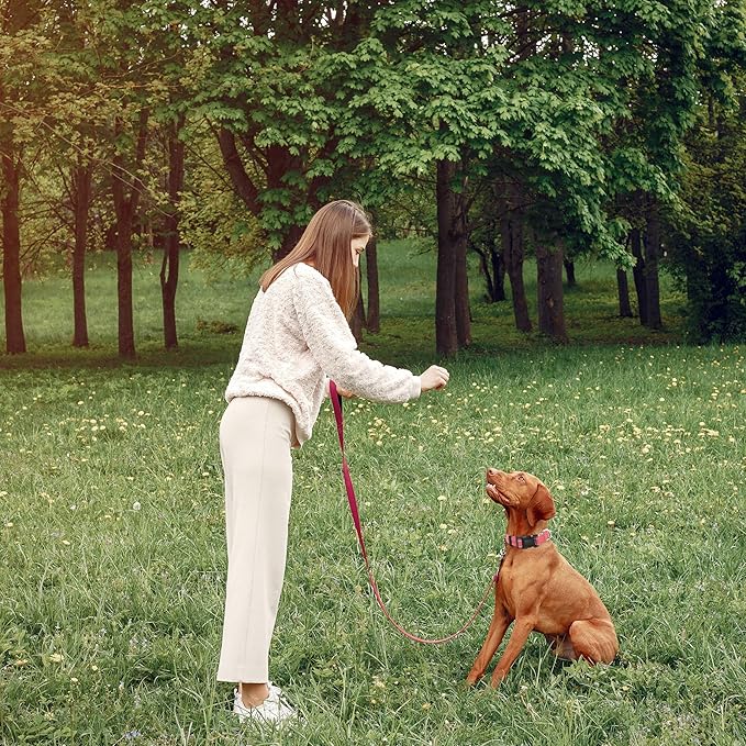 Reflective Dog Collar with Safety Locking Buckle, Adjustable Soft Breathable Nylon Collars for Small, Medium and Large Dogs(Collar+Leash S Width 5/8" Pink)