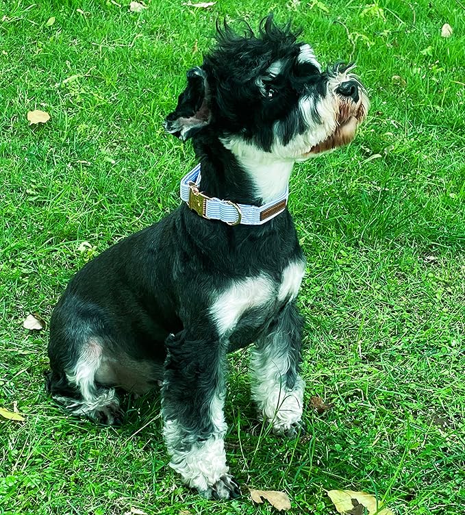 Unique style paws Dog Collar Metal Buckle Blue Stripe Collar Gift Durable Cute Collar for Small Medium Large Boys Girls Dogs