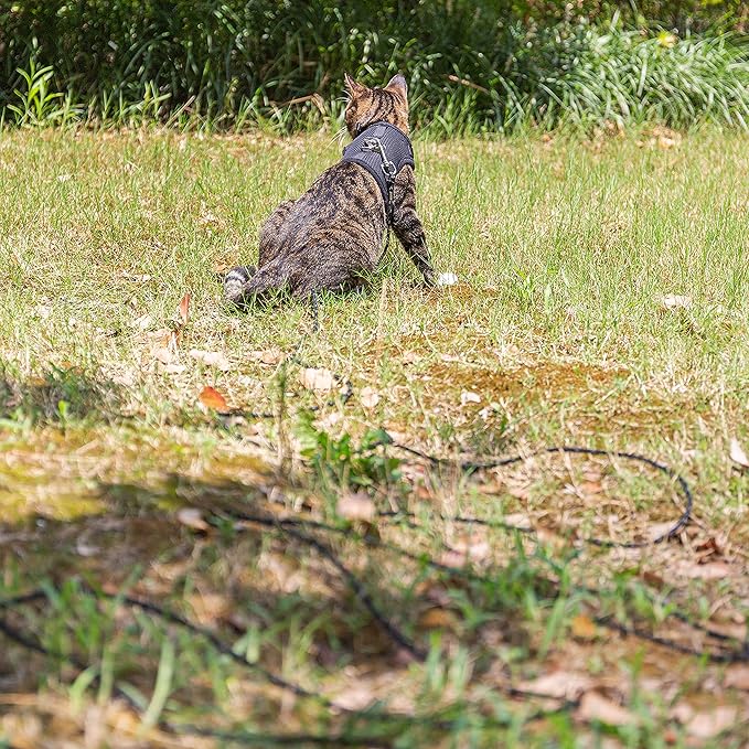 Cat Leash - 15 ft / 30 ft Reflective Long Cat Leash Outdoor for Walking Training Playing - Escape Proof Yard Lead Pet Leash Also for Cats, Small Dogs, Puppy, Kitten, Rabbit