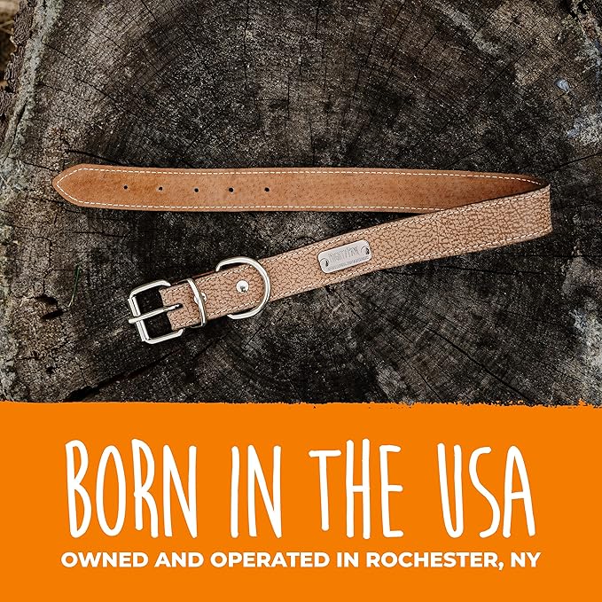 Mighty Paw Leather Dog Collar - Genuine Distressed Leather - Strong Metal Buckle - Ultimate Comfort - Modern Style for All Dogs Breeds - Comfort Puppy Collar - (Medium - Lite Brown)