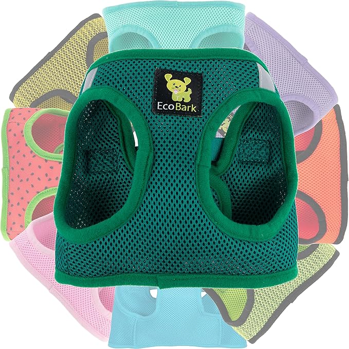 EcoBark Step in Dog Harness - Eco-Friendly Teacup Dog Harnesses for XXS, XS, and Small Breed Dogs - Reflective and Adjustable Mini Body Halter Vest -Tiny Soft Mesh Toy Breed Harness (Forest Green, XS)