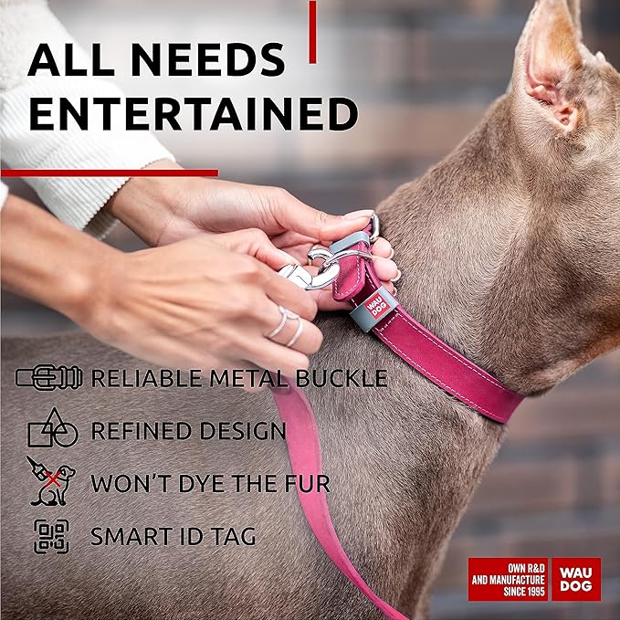 WAUDOG Long Lasting Leather Dog Collar for Large Dogs, Medium & Small Dogs - Adjustable Classic Puppy Collars for Large Breed Dogs - Boy & Girl Dog Collars with Durable Buckle, D-Ring & QR Dog Tag