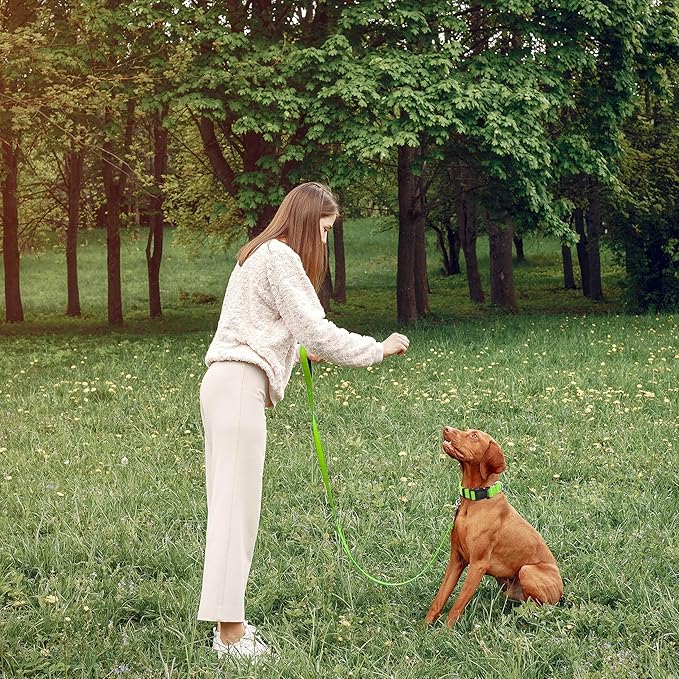 Reflective Dog Collar with Safety Locking Buckle, Adjustable Soft Breathable Nylon Collars for Small, Medium and Large Dogs(Collar+Leash S Width 3/4" Green)