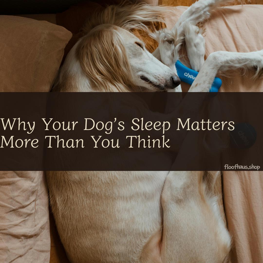 Why Your Dog’s Sleep Matters More Than You Think