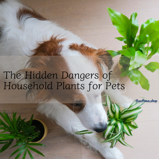 The Hidden Dangers of Household Plants for Pets