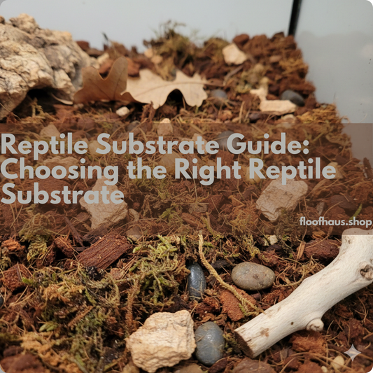 Reptile Substrate Guide: Choosing the Right Reptile Substrate