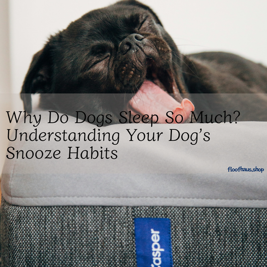 Why Do Dogs Sleep So Much? Understanding Your Dog’s Snooze Habits