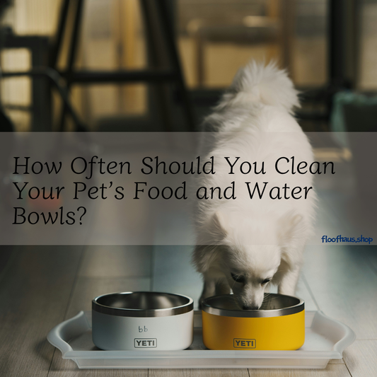 How Often Should You Clean Your Pet’s Food and Water Bowls?