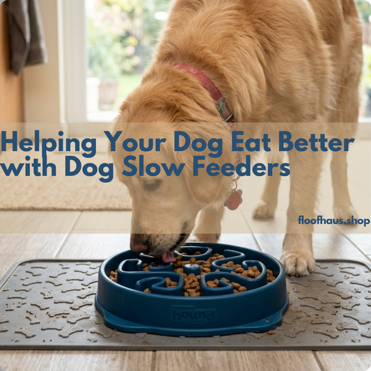 Helping Your Dog Eat Better with Dog Slow Feeders