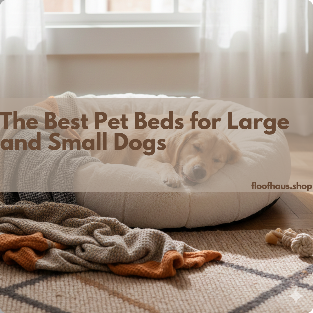 The Best Pet Beds for Large and Small Dogs