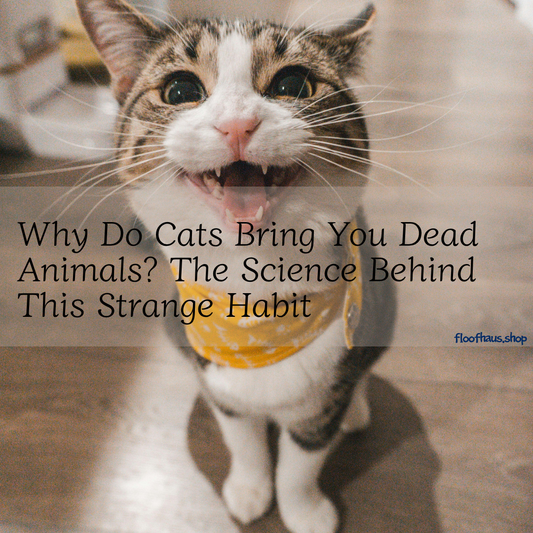 Why Do Cats Bring You Dead Animals? The Science Behind This Strange Habit