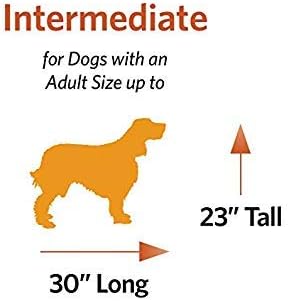 MidWest Homes for Pets Bolster Dog Bed 36L-Inch Gray Dog Bed w/Comfortable Bolster | Ideal for Intermediate Dog Breeds & Fits a 36-Inch Dog Crate | Easy Maintenance Machine Wash & Dry