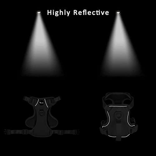 Petmolico Dog Harness for Small Dogs, Cute Harness Vest with Two Leash Clips and Soft Handle, Reflective Easy Walk Puppy Vest - Light Blue, X-Small